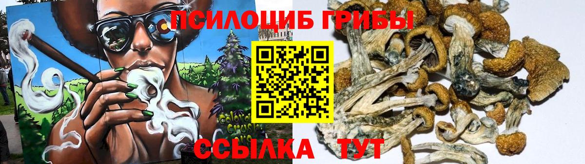 Псилоцибиновые грибы GOLDEN TEACHER Орёл